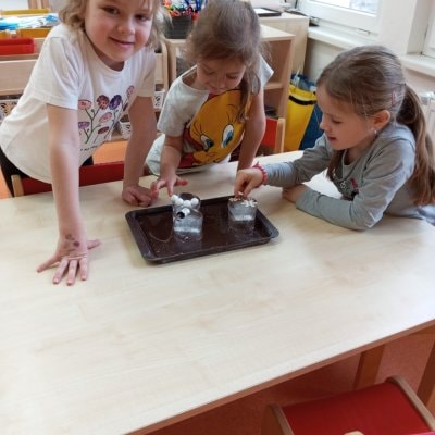image-7000